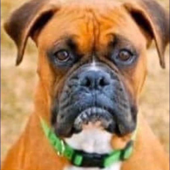 Hello! - Picture 1 of 1